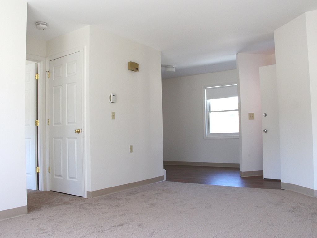 Gallery Photo 3